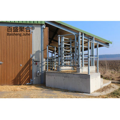 হালকা ইস্পাত কাঠামো গরু ফার্ম বিল্ডিং Prefabricated Cowshed with ISO9001 2008 / CE / BV