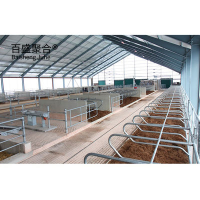 হালকা ইস্পাত কাঠামো গরু ফার্ম বিল্ডিং Prefabricated Cowshed with ISO9001 2008 / CE / BV