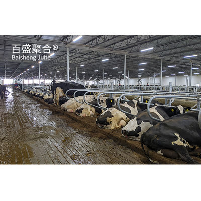 ISO9001 2008/CE/BV Certified Prefabricated Steel Beams H Beams Livestock Shed for Cow (আইএসও৯০০১ ২০০৮/সিই/বিভি সার্টিফাইড প্রিফাব্রিকেশনড স্টীল বিমস)