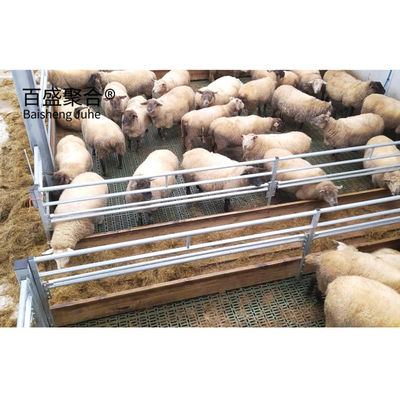 ইস্পাত ছাগল শ্যাড ডিজাইন এবং ISO9001 2008/CE/BV সার্টিফাইড সরঞ্জামগুলির সাথে কৃষিকে অনুকূল করুন