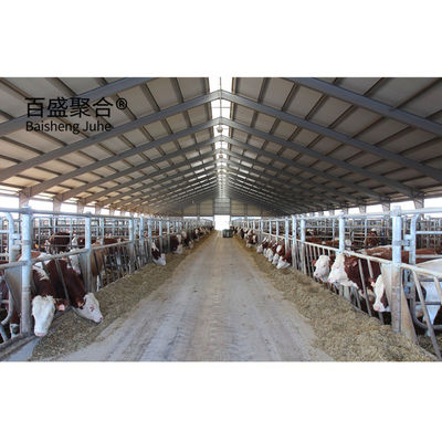 অ্যালুমিনিয়াম খাদ উইন্ডো এবং Q345 প্রিফ্যাব স্টিল দুগ্ধজাত গরু হাউস জন্য গরু খামার বিল্ডিং