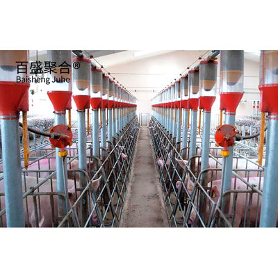 দীর্ঘ স্প্যান ইস্পাত কাঠামো কৃষি piggery ঘর নির্মাণ নকশা জন্য গরু শেল