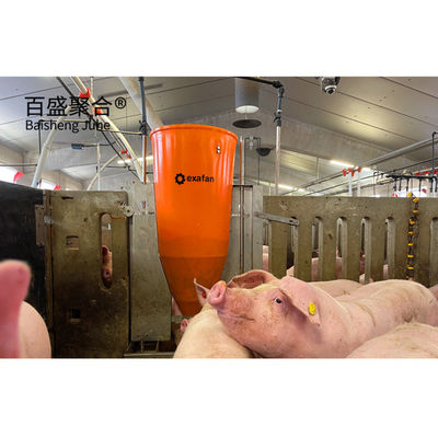 দীর্ঘ স্প্যান ইস্পাত কাঠামো কৃষি piggery ঘর নির্মাণ নকশা জন্য গরু শেল