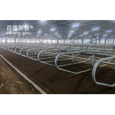 ISO9001 2008/CE/BV সার্টিফাইড স্টিল স্ট্রাকচার গরু শ্যাড ফার্ম বিল্ডিং গরু চাষের জন্য