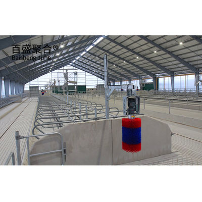 ISO9001 2008/CE/BV সার্টিফাইড স্টিল স্ট্রাকচার গরু শ্যাড ফার্ম বিল্ডিং গরু চাষের জন্য