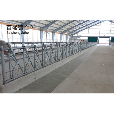 ISO9001 2008/CE/BV সার্টিফাইড স্টিল স্ট্রাকচার গরু শ্যাড ফার্ম বিল্ডিং গরু চাষের জন্য
