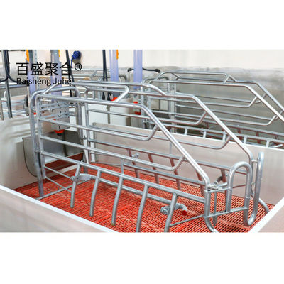 ISO9001 2008/CE/BV সার্টিফাইড পিগ ফার্মিং বিজনেস প্ল্যান ফর কাস্টমাইজড কেজ এবং পেন