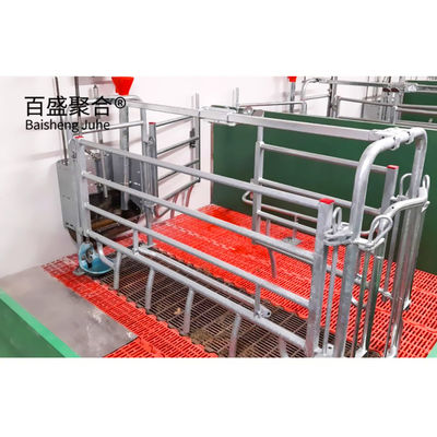 ISO9001 2008/CE/BV সার্টিফাইড পিগ ফার্মিং বিজনেস প্ল্যান ফর কাস্টমাইজড কেজ এবং পেন