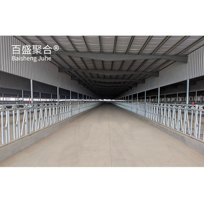 Upgrade Your Cattle Farm House with's Grade-A Steel Cowsheds অটোক্যাড অঙ্কন নকশা