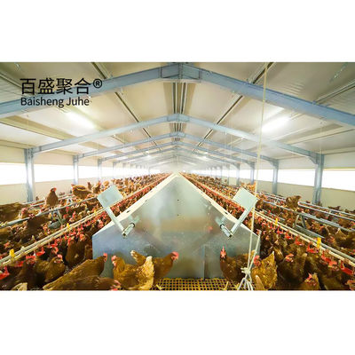 ISO9001 2008/CE/BV সার্টিফিকেশন সহ গ্যালভানাইজড A টাইপ চিকেন কেজ স্তর পোল্ট্রি