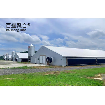 ISO9001 2008/CE/BV সার্টিফিকেশন সহ গ্যালভানাইজড A টাইপ চিকেন কেজ স্তর পোল্ট্রি