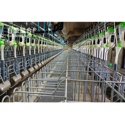 গরম ডুব Galvanized / পেইন্ট স্প্রে ইস্পাত কাঠামো জন্য গরু খামার গুদাম ফ্রেম হাউস