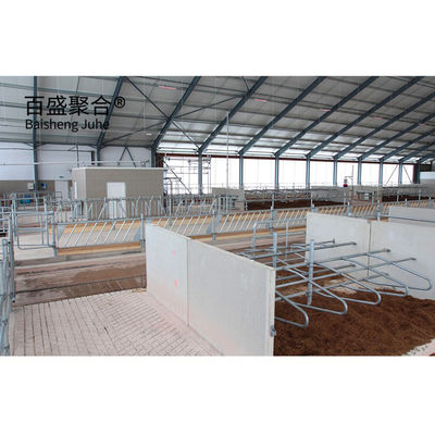 গরম ডুব Galvanized ইস্পাত কাঠামো গবাদি পশু ঘর জন্য Prefab গবাদি পশু শ্যাড ধাতু ফ্রেম