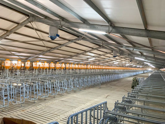 কেবিন হাউস পোল্ট্রি ফার্ম ডিজাইন with Industrial Building and C.Z Shape Steel Channel