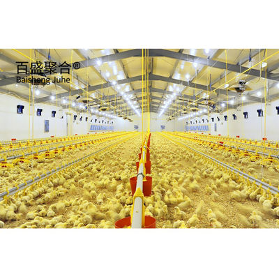 ISO9001 2008/CE/BV সার্টিফাইড স্টিল ফার্মিং হাউস ফার্মিং পশুপালন এবং হাঁস-মুরগি জন্য