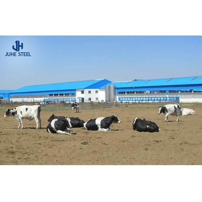 স্যান্ডউইচ প্যানেল ছাদ এবং রোলিং দরজা সঙ্গে প্রিফ্যাব্রিকেটেড ইস্পাত গরু দুধ খামার ঘর
