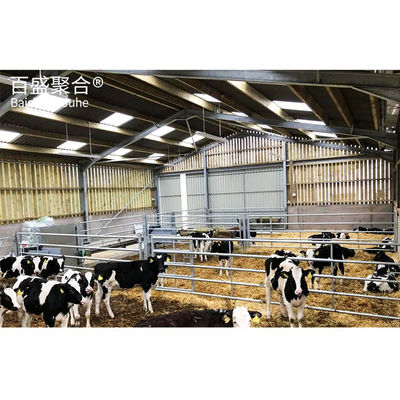 Q235B/Q345B নিম্ন কার্বন ইস্পাত কাঠামো প্রিফ্যাব্রিকেটেড পিগ হাউস
