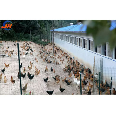 Q235B/Q345B নিম্ন কার্বন ইস্পাত ইস্পাত কাঠামো চিকেন কোপ প্রিফ্যাব্রিকেটেড চিকেন হাউস