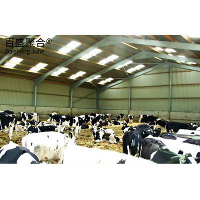 লং স্প্যান গ্রিড স্ট্রাকচার Q235/Q345 নিম্ন কার্বন ইস্পাত প্রিফ্যাব স্টিল স্ট্রাকচার গরু শেল